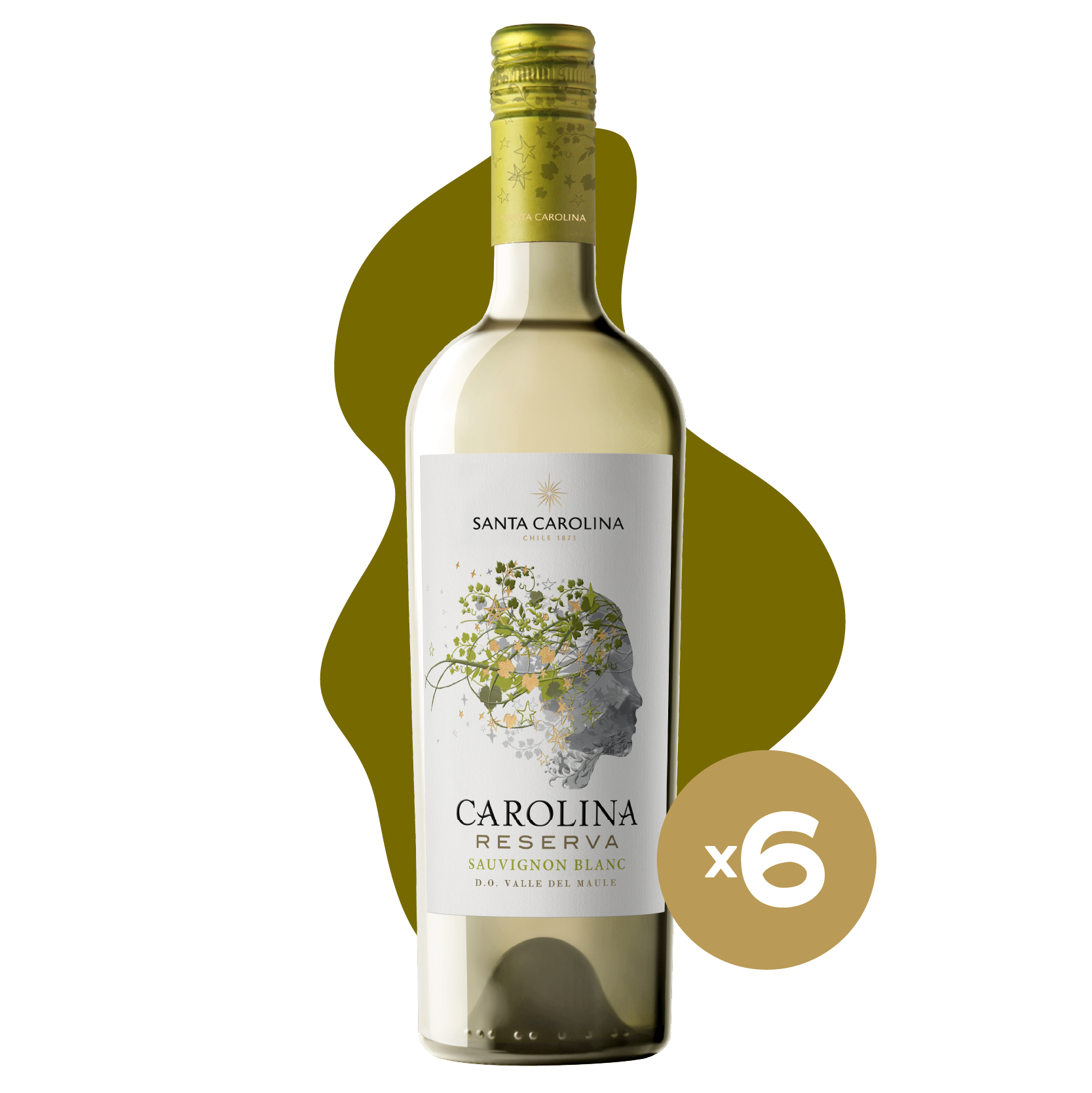 CAROLINA RESERVA SAUVIGNON BLANC