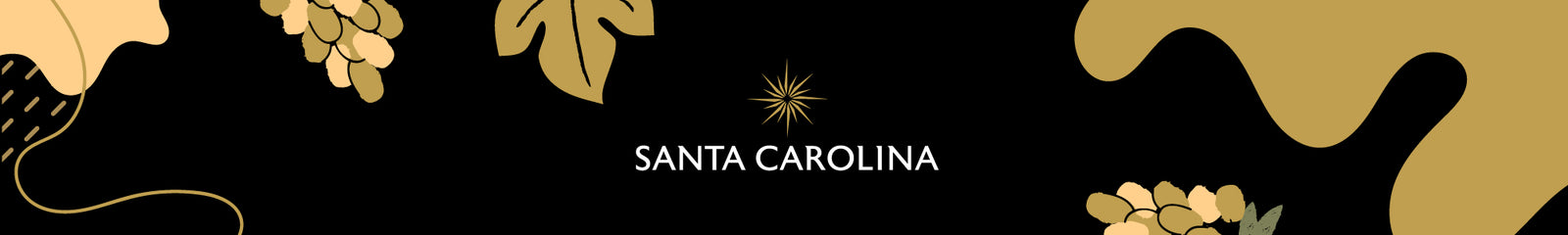 VIÑA SANTA CAROLINA