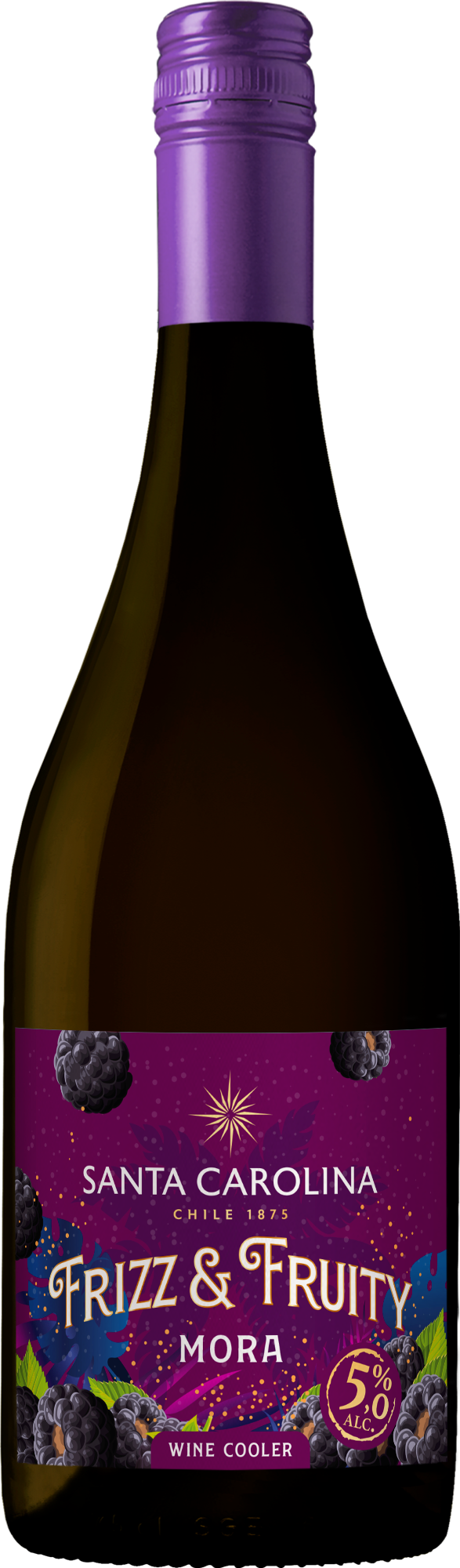 FRIZZ & FRUIT TINTO MORA