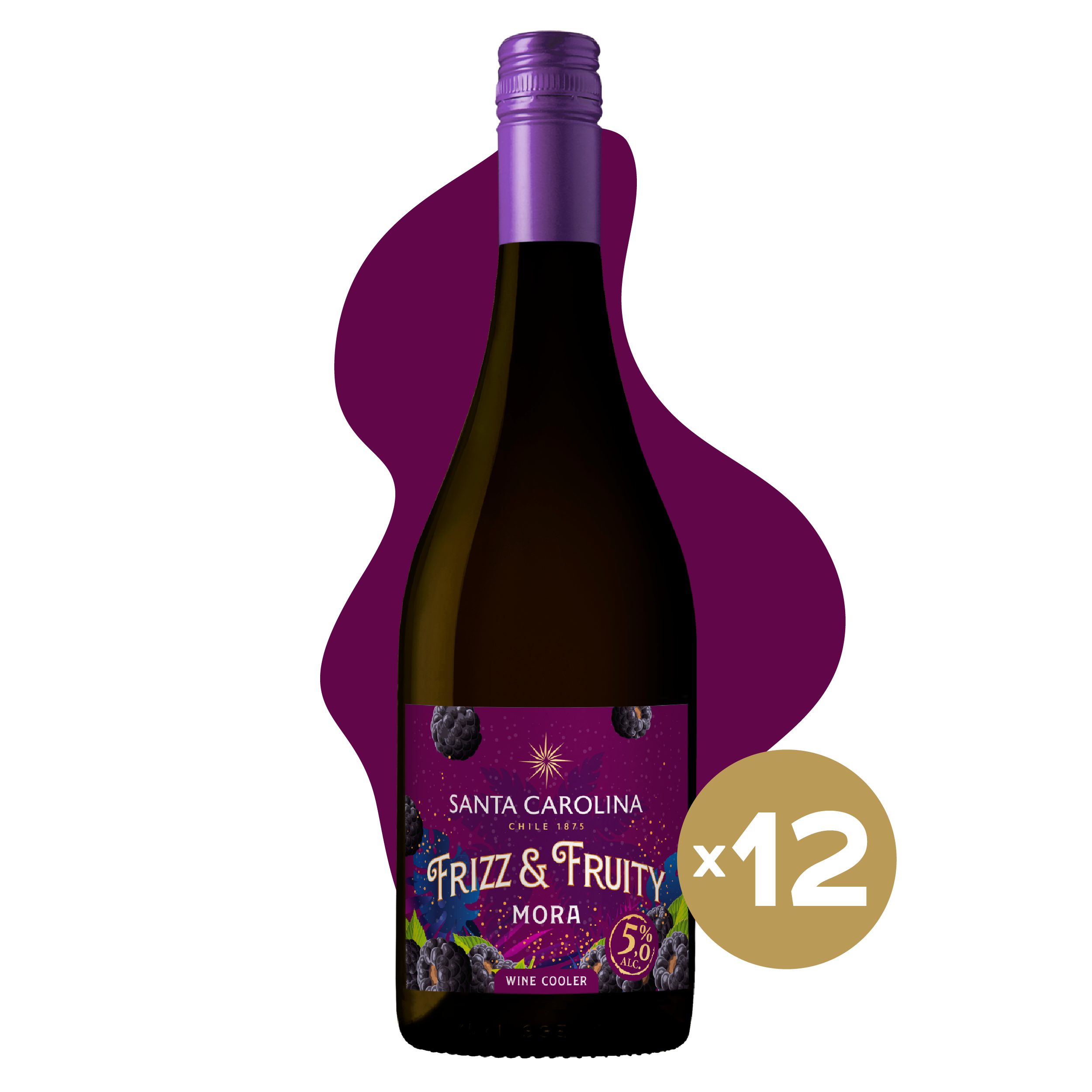 FRIZZ & FRUIT TINTO MORA