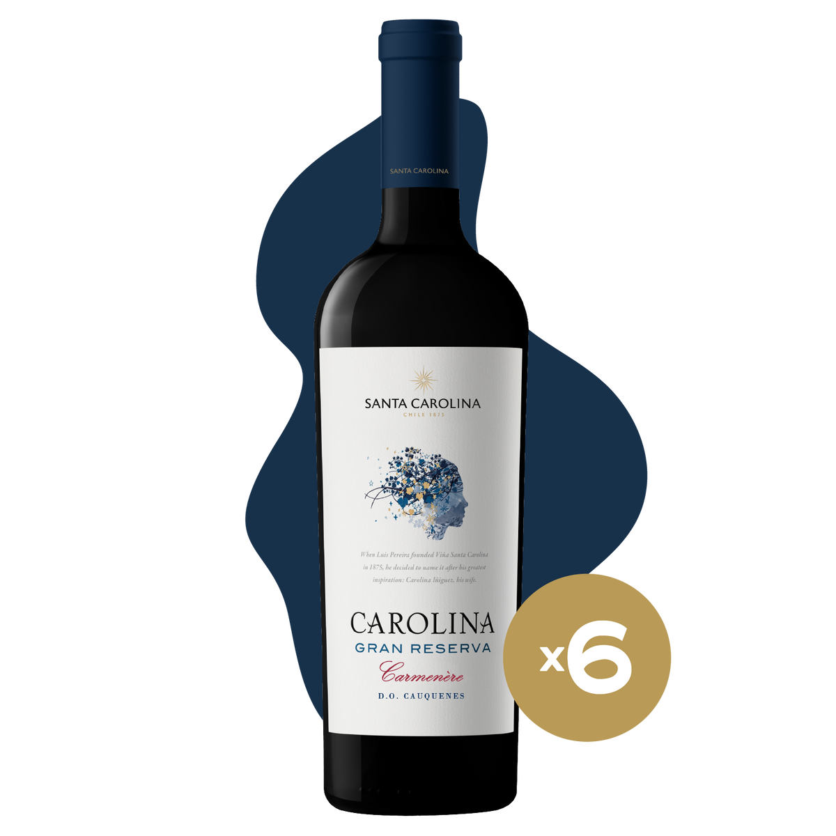 GRAN RESERVA CARMENERE