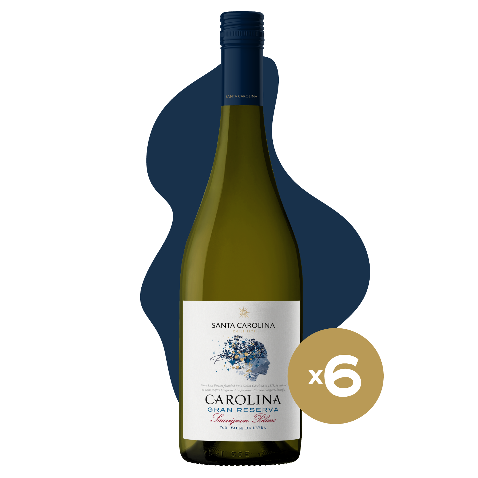 GRAN RESERVA SAUVIGNON BLANC