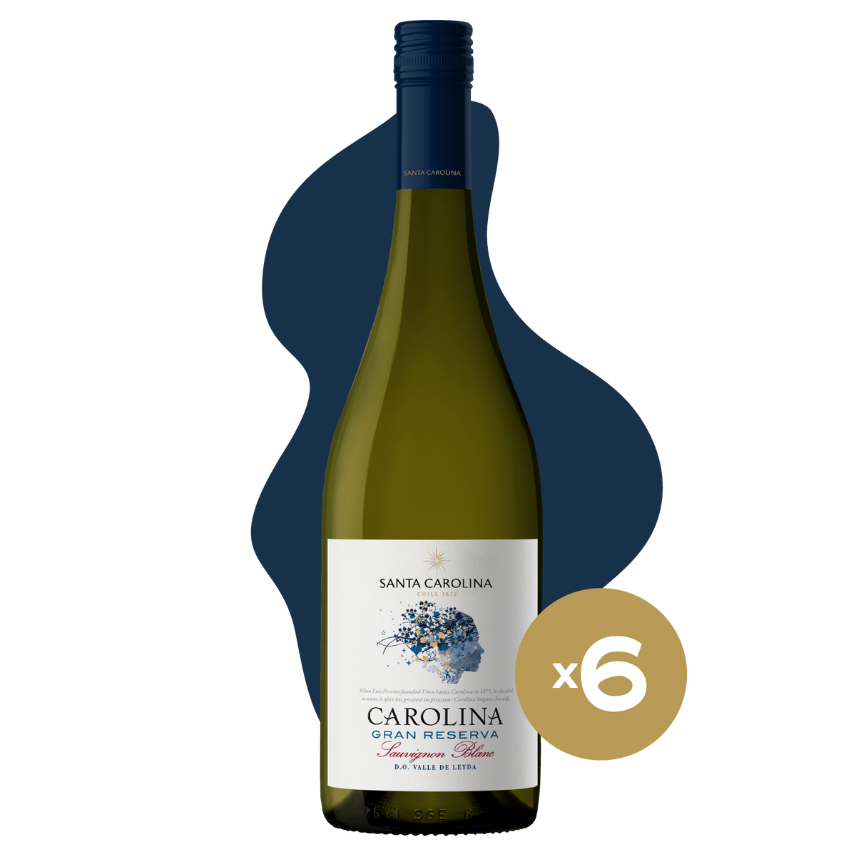 GRAN RESERVA SAUVIGNON BLANC