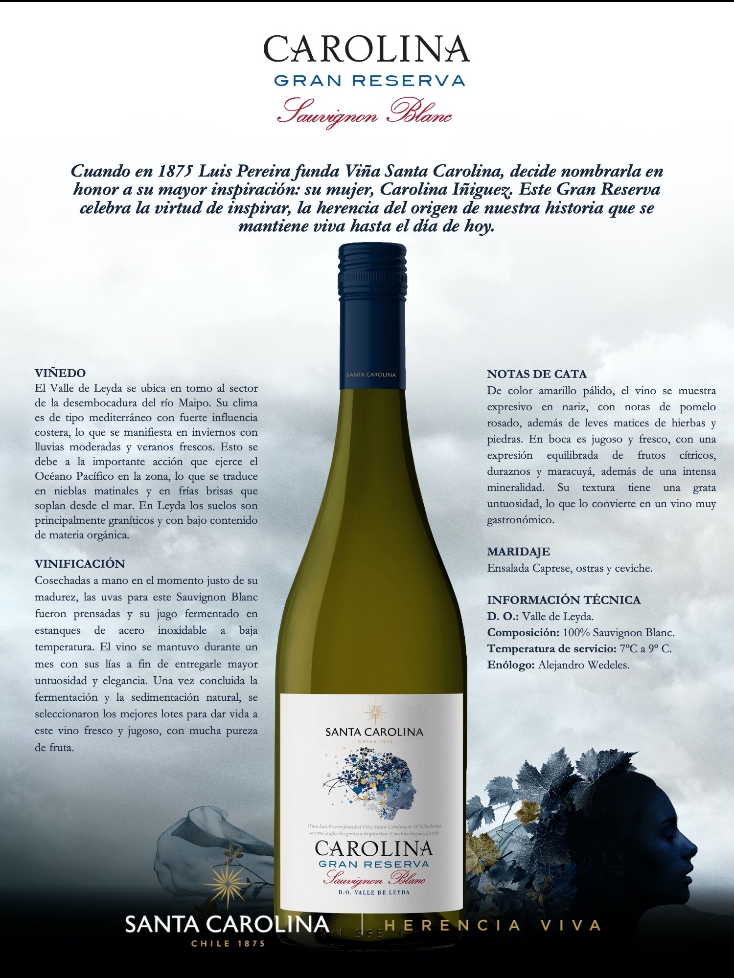 GRAN RESERVA SAUVIGNON BLANC